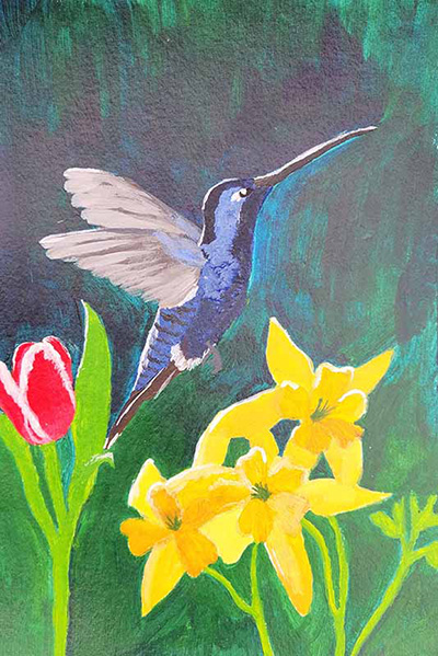 photo of a painted hummingbird